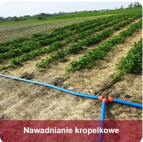 nawadnianie kropelkowe Felmix